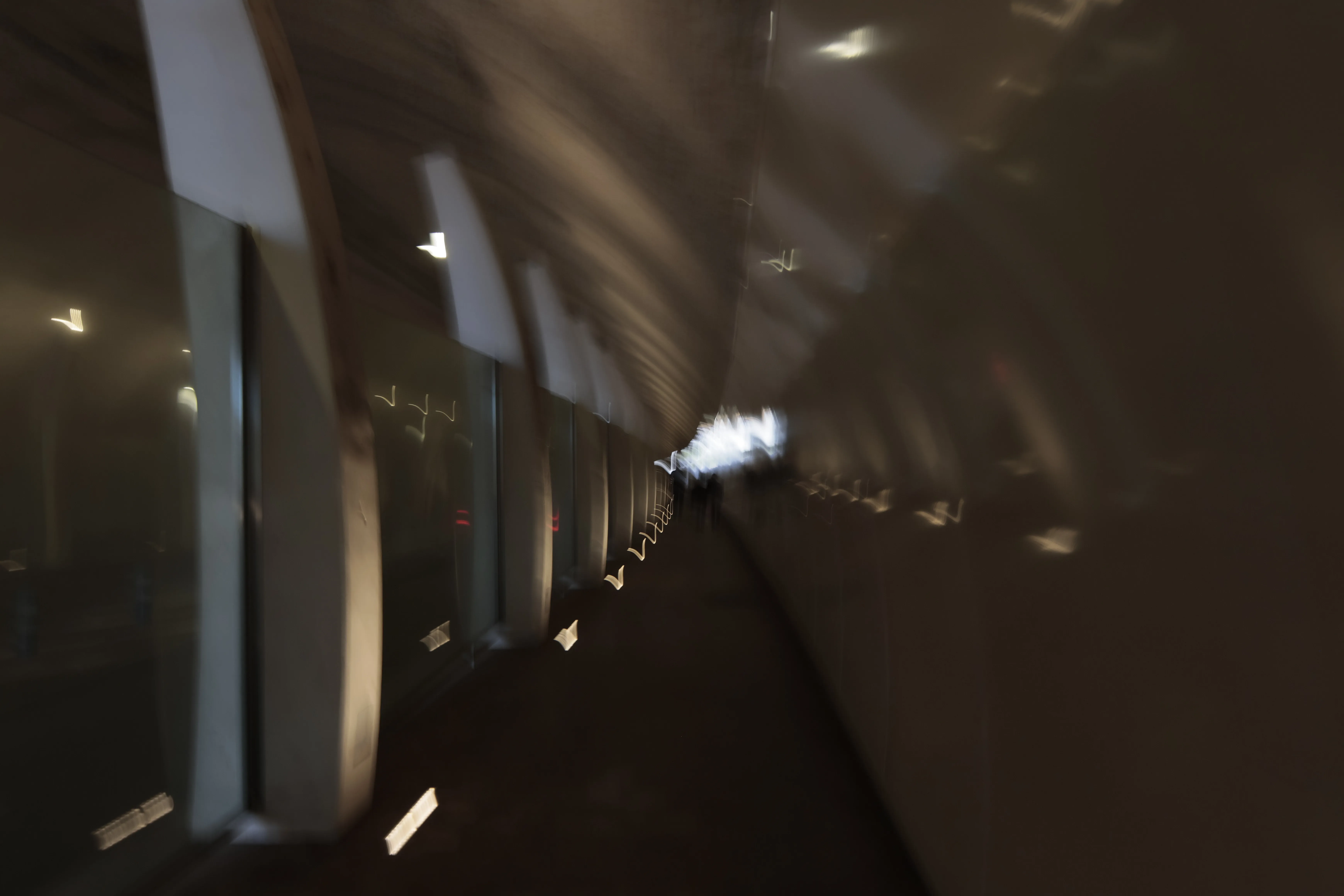 Tokina at-x 116 (EF) - _I4A1080.webp